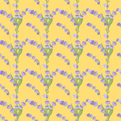 A sprig of lavender. Purple flower. Seamless pattern. Vector illustration.