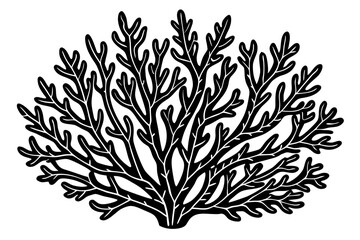 Beautiful coral seas vector art illustration 