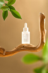 A frontal view of a frosted glass serum bottle, perched on driftwood, decorated by soft green...