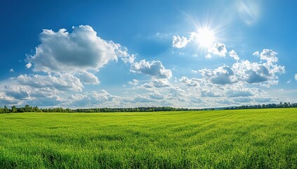 Fototapeta premium Vibrant Green Field Basking Under a Sunny Sky with Fluffy Clouds