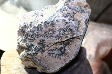 Limestone fragment with black manganese dendrite patterns on the surface