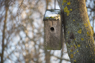 Old wooden birdhouse hanging on a tree in winter