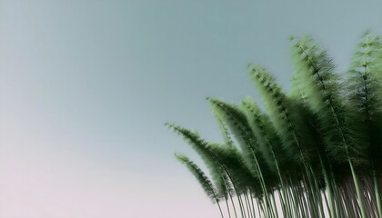 Goal of life, growth and, motivation concept: Towering bamboo forest swaying in the wind, resilience and growth.