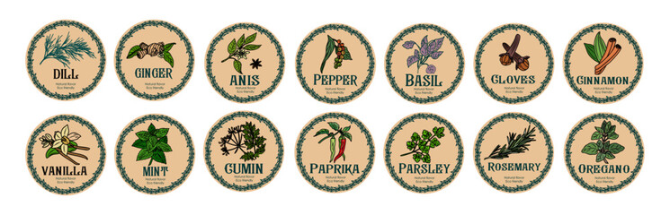 Vector set of spices food labels with herbs sketches, pepper, basil, paprika, oregano, rosemary, ginger, parsley. Packaging and labeling template. Organic, natural flavor, eco friendly, kitchen herbs. © Creative_Juice_Art