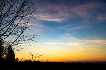 Dawn skies, pink clouds, delicate colors, bright sky