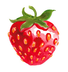 Watercolor hand drawn sketch of a strawberry