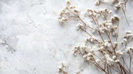 Beautiful dry flowers on white textured background. Flat lay, top view
