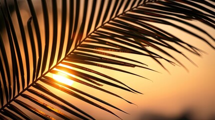 Obraz premium palm frond backlit by sunset, highlighting the intricate texture and details. The background of sunset hues and bokeh.