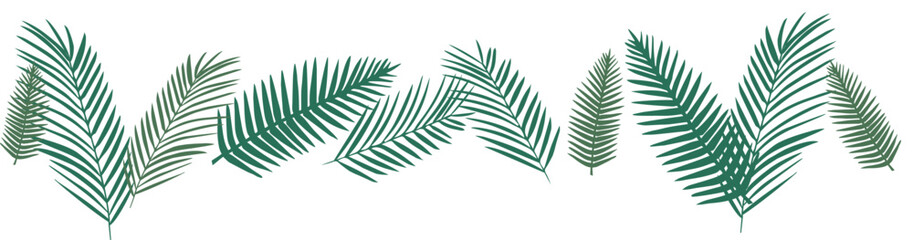 여름 야자수 야자잎 초록잎 summer tree leaf palm tree Vector illustration