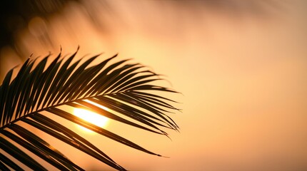 palm frond backlit by sunset, highlighting the intricate texture and details. The background of sunset hues and bokeh.