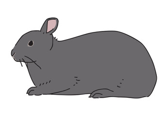 アマミノクロウサギのイラスト