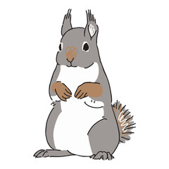 ニホンリスのイラスト