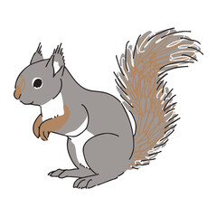 ニホンリスのイラスト