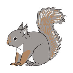 ニホンリスのイラスト