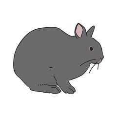 アマミノクロウサギのイラスト