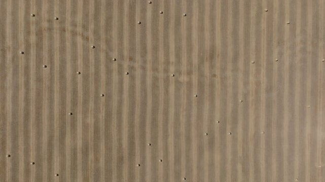 Aerial Top Full Frame Of Dry Agricultural Field, Drone Flying Forward On Sunny Day - Otago, New Zealand