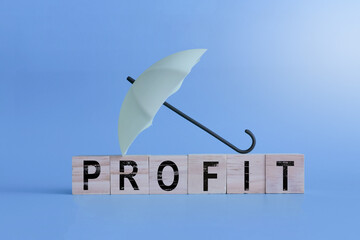 An Umbrella on top of wooden blocks. Resilience and reward. The umbrella, a symbol of protection,...