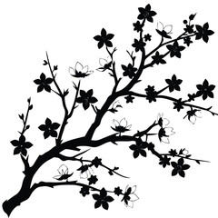  cherry blossom branch in silhouette