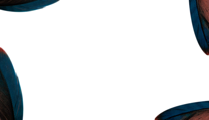 frame feather with empty space for text