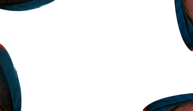 frame feather with empty space for text