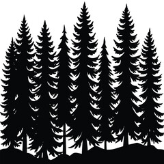 Obraz premium a dense forest of pine tree silhouettes