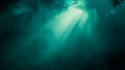 Fototapeta premium A dense forest reveals towering trees enveloped in thick fog, where soft light filters through, evoking an ethereal and mysterious atmosphere