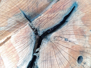 The background is made from pieces of clove wood that