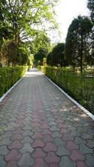 A patterned walking footpath bordered by vibrant green plants.