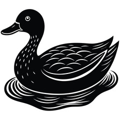 duck floating on water