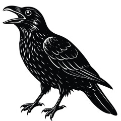 crow cawing with an open beak
