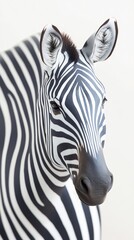 Naklejka premium Striking Zebra Portrait Bold Black White Stripes. AI Generated