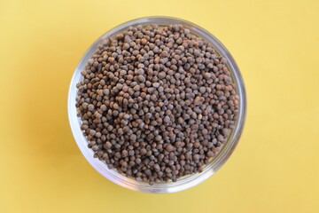 Silam, Perilla frutescens seeds din a bowl