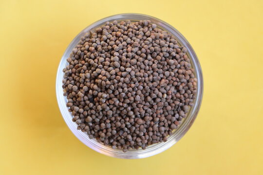 Silam, Perilla frutescens seeds din a bowl