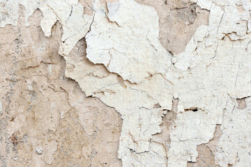 Light Gray Stucco Wall Texture. Abstract Background