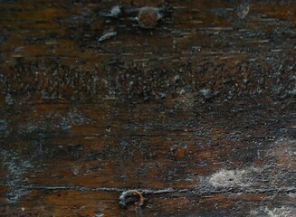Detailed Close-up of Weathered Dark Wood Texture