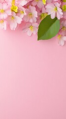 Fototapeta premium Delicate pink blossoms gently arranged on soft pink background create serene springtime aesthetic. AI Generated