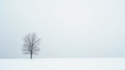 Fototapeta premium snowy landscape with a single bare tree