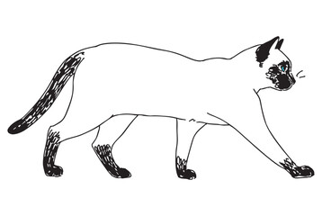 猫の手描きイラスト