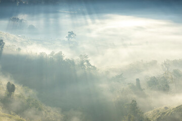 Landscape of Morning Mist with Mountain Layer. mountain ridge and clouds in rural jungle bush forest