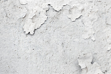 Light Gray Stucco Wall Texture. Abstract Background