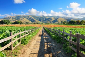 Scenic View of Lush Green Fields and Rolling Hills Under a Bright Blue Sky with Fluffy Clouds, Perfect for Nature and Agricultural Themes