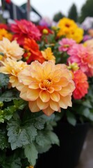 Spring/Easter collection