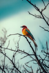 Fototapeta premium Colorful bird perches on tree branch