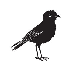 This image features a simple, black silhouette of a bird. It is depicted in a side profile, with its head turned slightly to the right. The bird has a short, pointed beak and a round eye. Its body is 