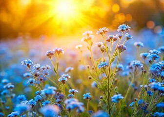 Light Blue Flower Field Background: Soft Pastel Spring Floral Landscape