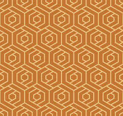 Japanese Weave Hexagon Vector Seamless Pattern