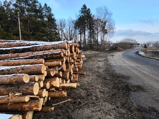 Snow covered forest road with piles of timber logs on road side. Firewood in winter on the side of the forest road. Snow covered wooden logs.
