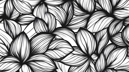 Abstract Black And White Floral Line Art Design