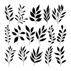 Set of branch and leaves vector
