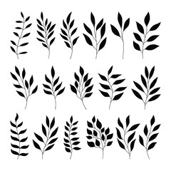 Set of branch and leaves vector